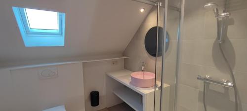 德帕内Maison Rose Plopsaland的带淋浴和粉红色碗的浴室