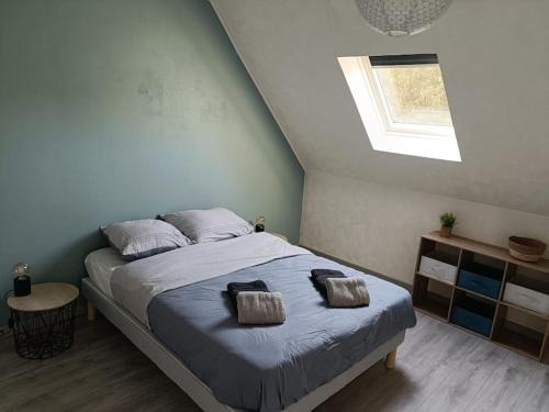 利雪Magnifique F2 Cosy Centre-Ville的一间卧室配有一张带两个枕头的床