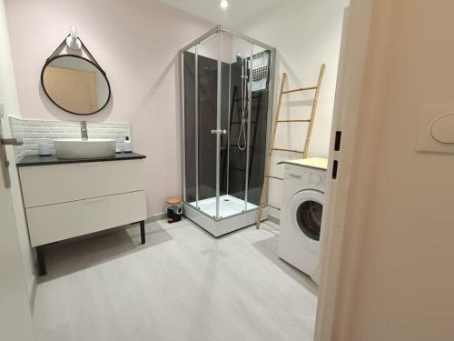 利雪Magnifique F2 Cosy Centre-Ville的一间带水槽和洗衣机的浴室