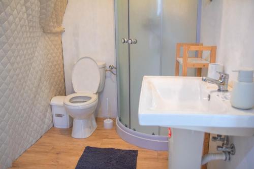 Sanctum Glamping的浴室配有卫生间、盥洗盆和淋浴。