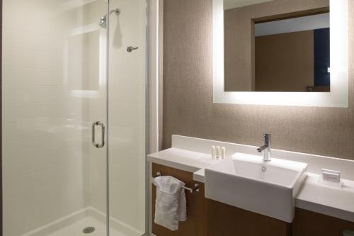 雷内克萨SpringHill Suites by Marriott Kansas City Lenexa/City Center的一间带水槽和淋浴的浴室
