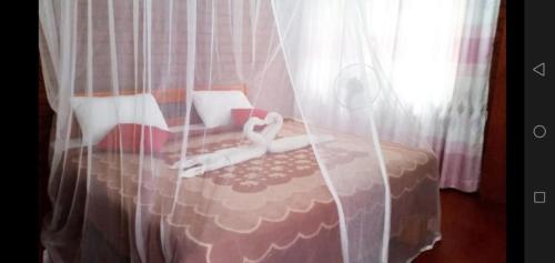 埃拉Rokkyhill的一间卧室配有一张带窗帘的床