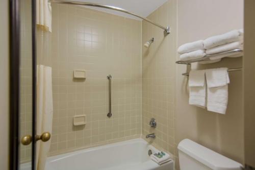 斯塔福德阿奇亚夸提科贝斯特韦斯特酒店的带浴缸、卫生间和毛巾的浴室