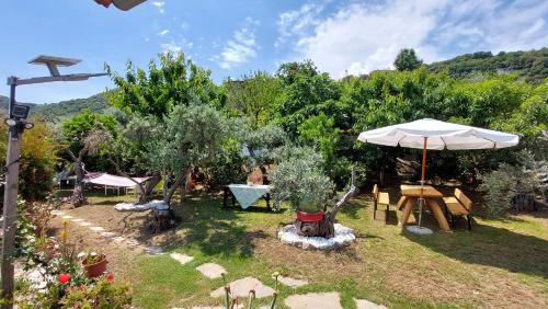 阿吉奥斯伊欧尼斯Katerina Fotopoulos Rooms & Apartments - Papanero com的花园设有遮阳伞、椅子和树木