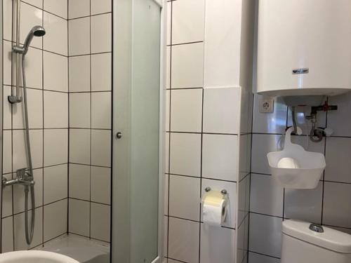 文茨皮尔斯Ostsee Apartments的带淋浴、卫生间和盥洗盆的浴室