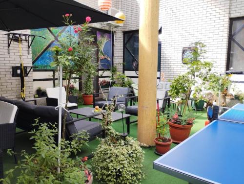 苏博蒂察Hostel Put Svile的一个带植物和蓝色桌子的庭院