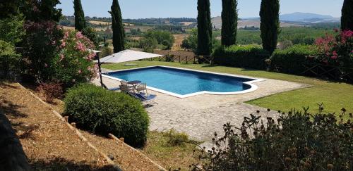 托迪Case in campagna con piscina a Todi的花园内的游泳池,带遮阳伞