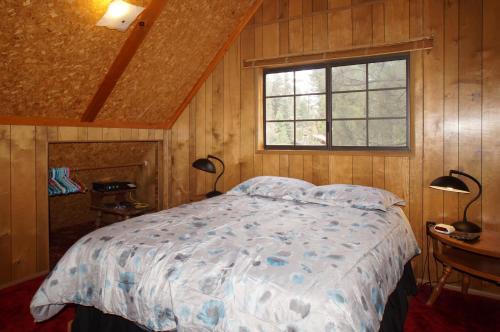 方斯金Canyon Cabin - A quaint cabin in a peaceful location yet close to Big Bear's attractions!的一间卧室设有一张床和一个窗口