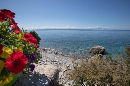 波蒙特Hotel Sardi的海岸上种满鲜花的海景