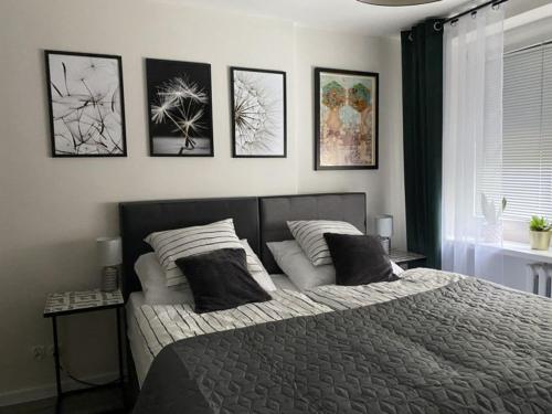 比托姆Apartament Schodami do Nieba的卧室配有一张四幅画的墙壁床。