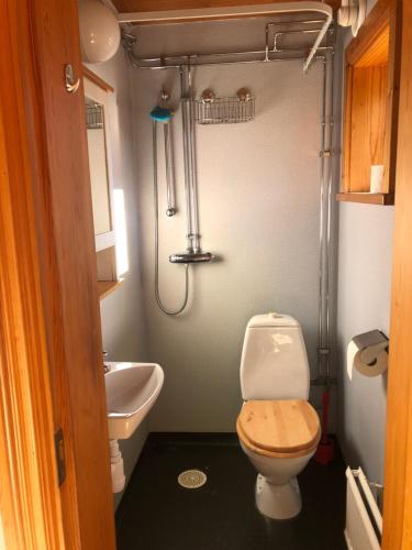 DjurasVilla Wargquist的一间带卫生间和水槽的小浴室