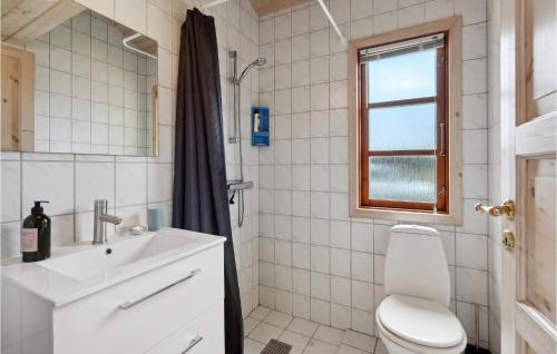 埃斯比约Gorgeous Home In Esbjerg V With House Sea View的浴室配有卫生间、盥洗盆和淋浴。