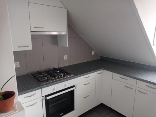 圣加仑Gemütliche Dachwohnung的厨房配有白色橱柜和炉灶烤箱。