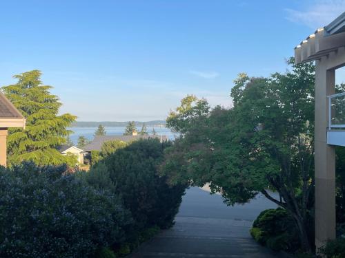 纳奈莫Panoramic Ocean View的房屋前有树木的走道