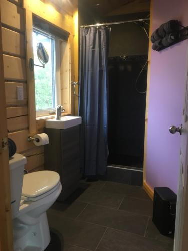 怀特霍斯Oma's and Opa's Northern Lights Viewing Cabin的浴室配有卫生间、盥洗盆和淋浴。