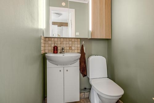 FlenVilla in Flen in the heart of Sormland的一间带卫生间和水槽的小浴室