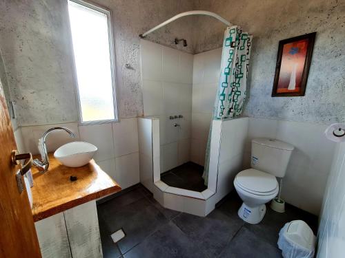 Los ÁrbolesEspacio Nux的带淋浴、卫生间和盥洗盆的浴室