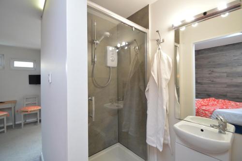 Thistles -Private Entrance Studio的带淋浴和盥洗盆的浴室