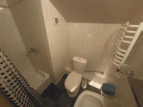 亚列姆切Darynka的一间带卫生间和淋浴的小浴室