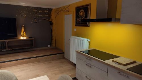 Vireux-MolhainCamp paradis的厨房设有水槽和黄色的墙壁