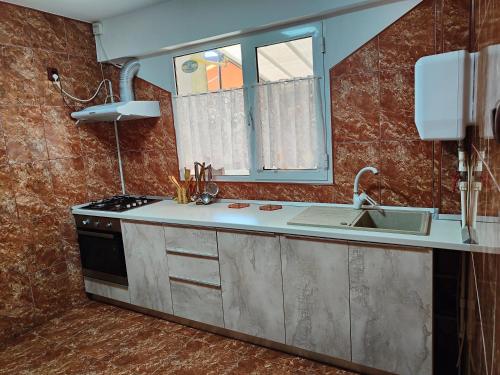 科斯蒂内什蒂Vila Olimpica的厨房配有水槽和炉灶