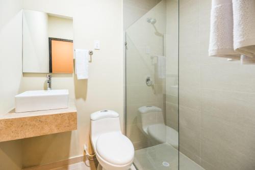 巴兰基亚Ribai Hotels - Barranquilla的浴室配有卫生间、盥洗盆和淋浴。