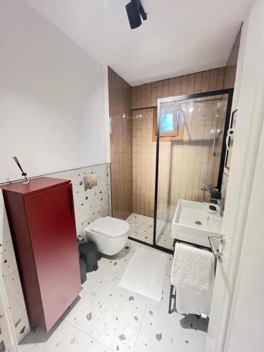 伊斯坦布尔The Pillo Mansion的一间带卫生间和水槽的浴室