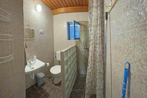 贝凯什圣安德拉什Villa Popeye Jakuzzis nyaralóház的浴室配有卫生间、盥洗盆和淋浴。