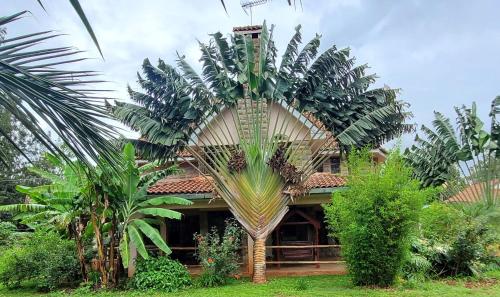 内罗毕Edaala Comfort - B&B的前面有棕榈树的房子