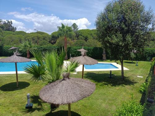 韦尔瓦Islantilla - Bajo con Jardín en Golf Islantilla的一组草伞,在游泳池旁边