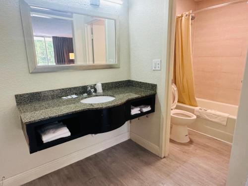 银泉Rodeway Inn的一间带水槽和卫生间的浴室