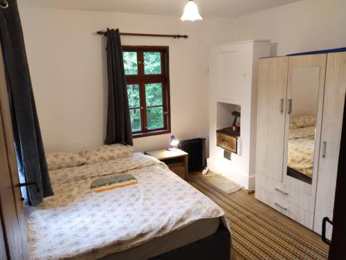 埃伦娜Balkan Mountains Villa Spa的一间卧室设有一张床和一个窗口