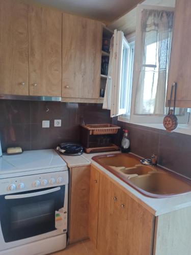 EvropoúloiBlondie's House的厨房配有木制橱柜、炉灶和水槽。