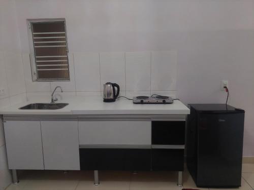 彼得罗利纳Kitnet Vila Marcela的厨房配有带水槽和微波炉的台面