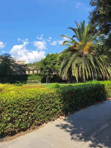 热那亚Attico con Vista su Genova的公园里棕榈树,人行道