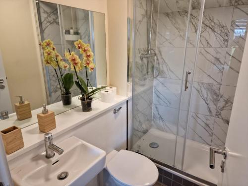 都柏林Clearwater Apartment的一间带水槽、淋浴和卫生间的浴室