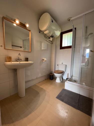 索兹Auberge de Sauze的一间带水槽、淋浴和卫生间的浴室