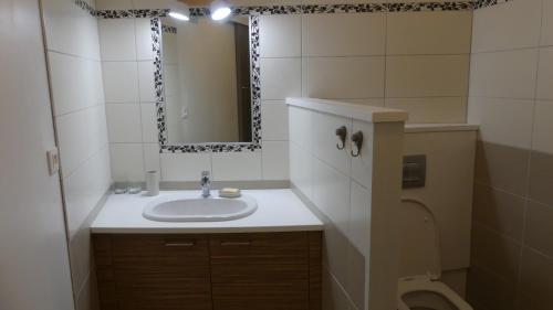 珀蒂蒂勒KAZ à LILO的一间带水槽、镜子和卫生间的浴室