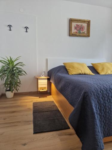 皮夫卡Medeni Apartma的一间卧室设有两张床和盆栽植物