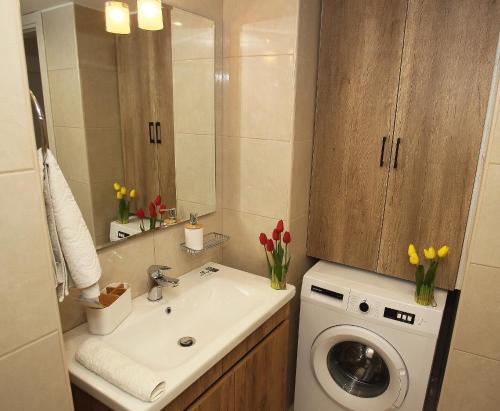 希俄斯Central Luxury Flat 2的一间带水槽和洗衣机的浴室