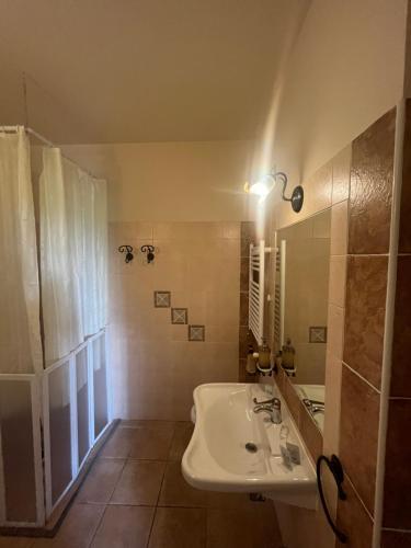 圣吉米纳诺安东内拉乡村旅馆的一间带水槽和镜子的浴室