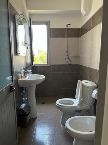 圣金Horizonti Blu的一间带卫生间和水槽的浴室