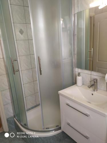万塔西西Apartman Iva - Vantačići的带淋浴和盥洗盆的浴室