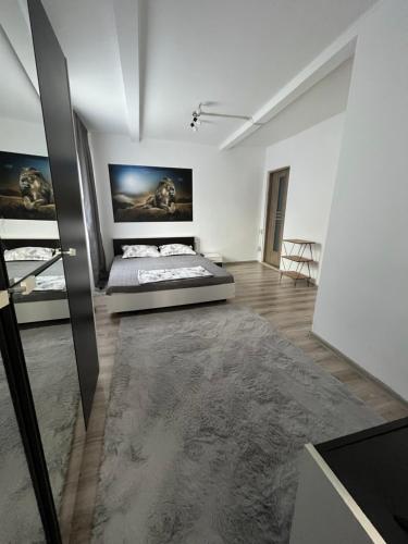 泰基尔吉奥尔Casa Dorina的一间卧室配有一张床和一张大地毯