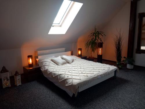 SzczebrzeszynPrzystanek Szlakówka的卧室配有白色床和天窗
