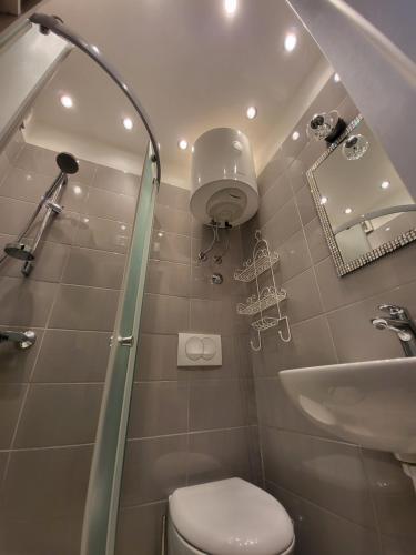 扎达尔Mini Villa Punta的带淋浴、卫生间和盥洗盆的浴室