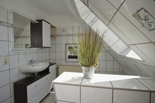 格罗斯齐克Westphal`s Ferienwohnung的一个带水槽的浴室和一个盆子