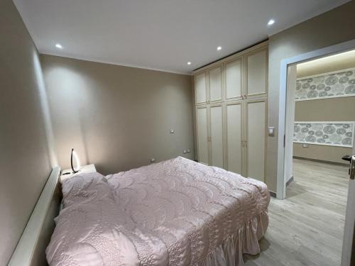 地拉那City center Apartment 1的一间卧室配有一张床和一个步入式衣柜
