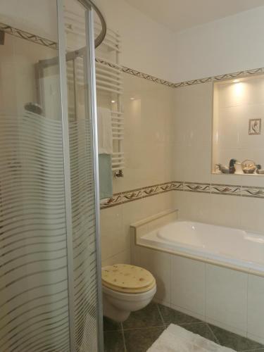 勒亚尼法鲁Green Apple Guesthouse的浴室配有卫生间、浴缸和水槽。