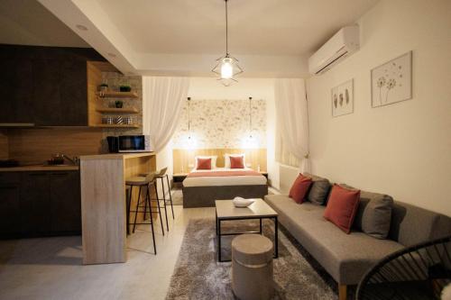格拉博瓦茨Villa Elena的带沙发和床的客厅以及厨房。